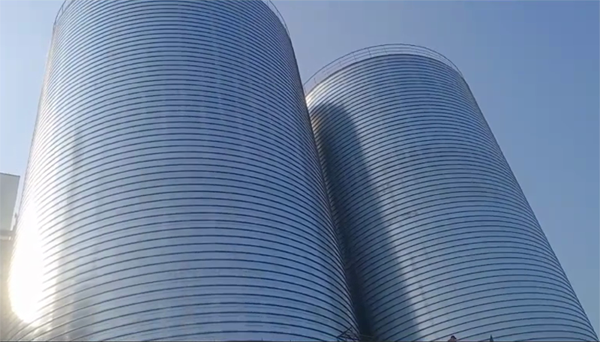 兴义2座混凝土高架卷板仓